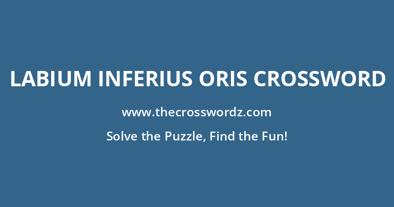Labium inferius oris crossword