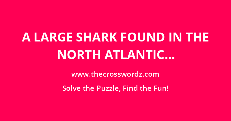 A large shark found in the North Atlantic and Mediterranean crossword