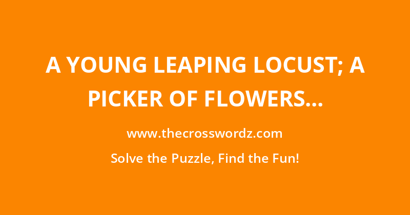A young leaping locust; a picker of flowers for flavouring beer; a person who flies from island to island; or, a shaking funnel or chute through which grain passes into a mill crossword