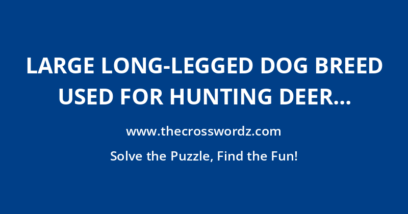Large long-legged dog breed used for hunting deer by sight or scent, now chiefly found in the US crossword