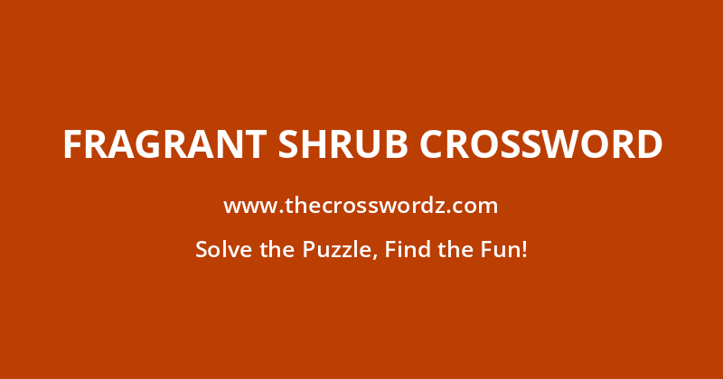 Fragrant shrub crossword