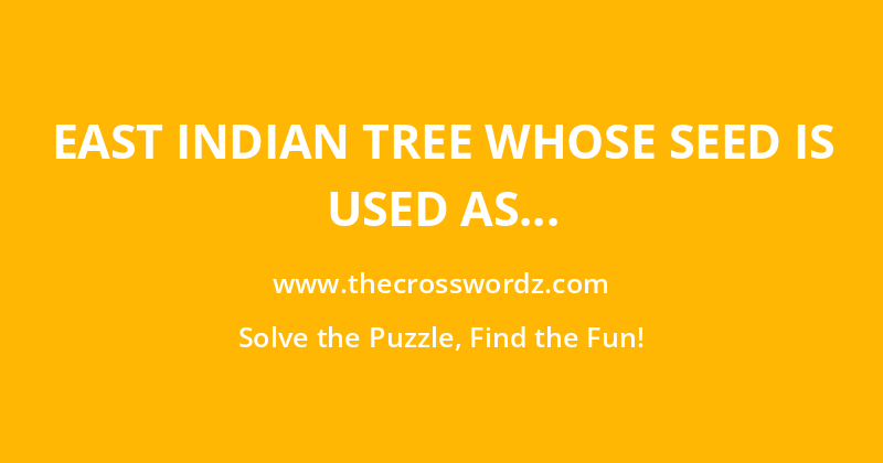 East Indian tree whose seed is used as a spice crossword