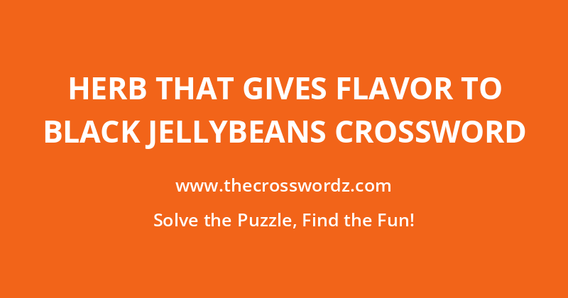 Herb that gives flavor to black jellybeans crossword