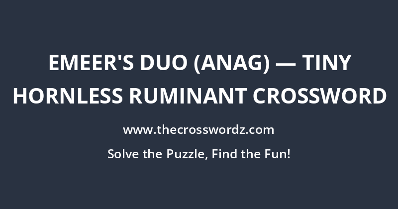 Emeer’s duo (anag) — tiny hornless ruminant crossword