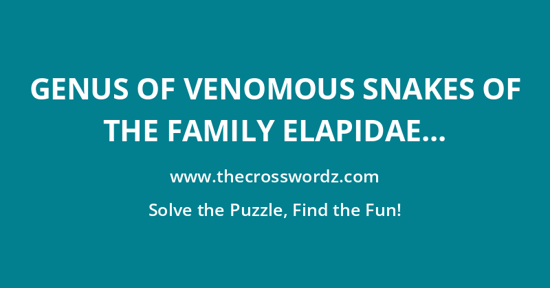 Genus of venomous snakes of the family Elapidae to which the cobras belong crossword