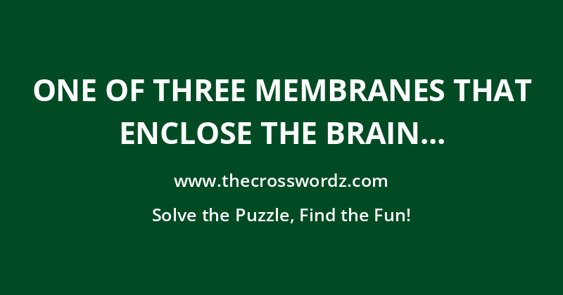 One of three membranes that enclose the brain and spinal cord crossword