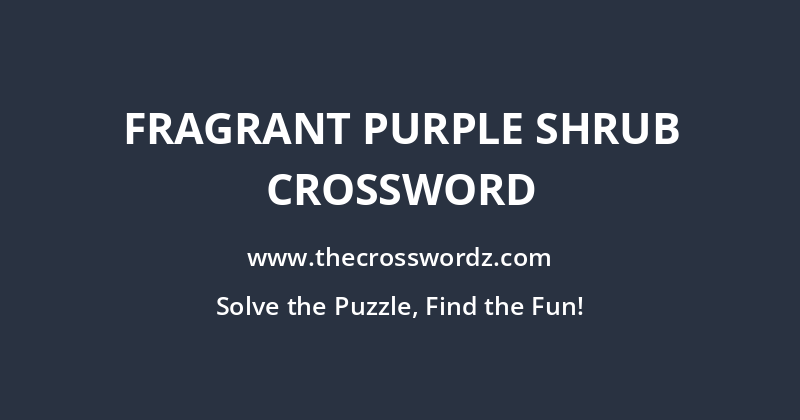 Fragrant purple shrub crossword