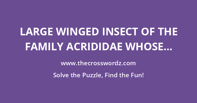 Large winged insect of the family Acrididae whose name is also a synonym for the carob bean crossword