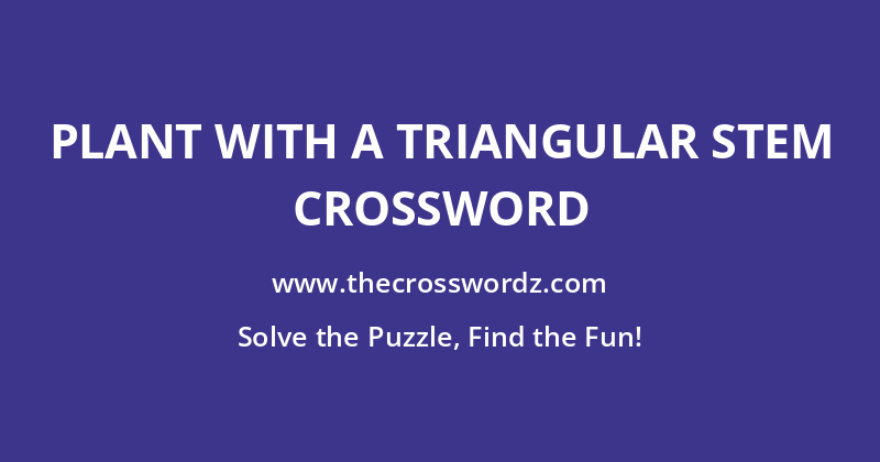 Plant with a triangular stem crossword