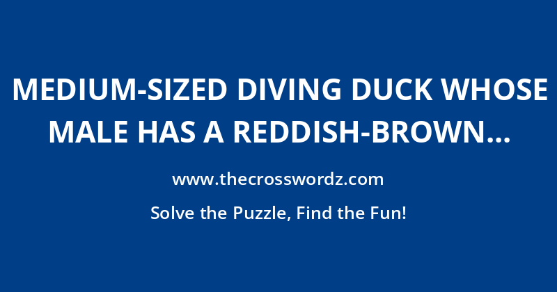 Medium-sized diving duck whose male has a reddish-brown head and black breast crossword