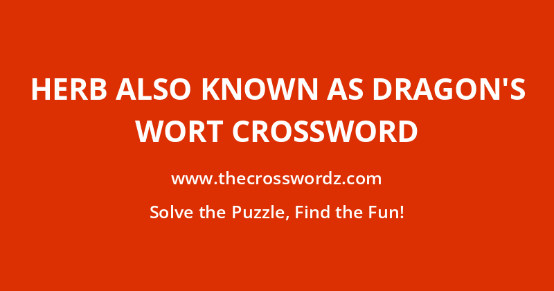 Herb also known as dragon’s wort crossword