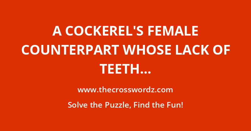 A cockerel’s female counterpart whose lack of teeth is referred to in a phrase meaning ‘extremely rare’ crossword
