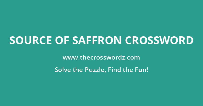 Source of saffron crossword